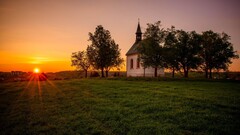 nature sunset Trees landscape
