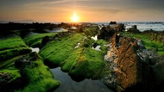 nature sunset water rock sky moss Sea coast horizon