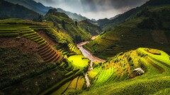 nature terraced field clouds rice terrace