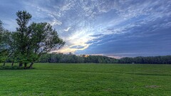 nature Trees clouds