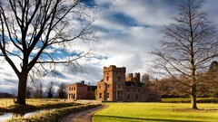 nature Trees grass architecture