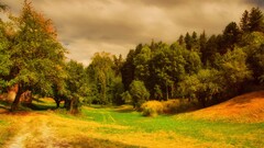 nature Trees grass hdr clouds