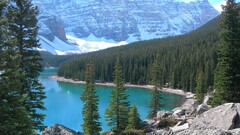 nature Trees Mountains Canada banff national park moraine lake