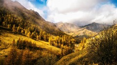 nature Trees Mountains Piemont