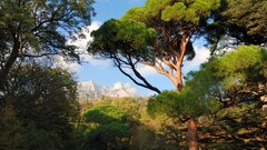 nature Trees Mountains sunlight