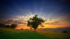 nature Trees sky clouds field sunlight grass hills landscape