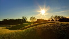 nature Trees sun landscape