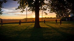 nature Trees sunlight People sky