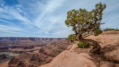 nature Utah landscape rock