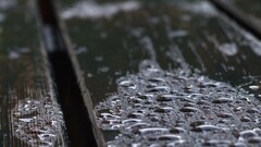 nature water drops outdoors