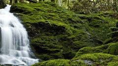 nature waterfall forest