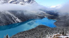 nature winter peyto lake Canada rocky mountains