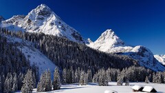 nature winter snow Trees Mountains
