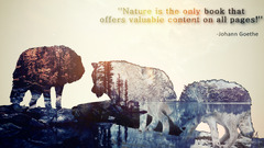nature wolf landscape digital art Typography