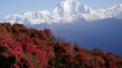 nepal himalayas Mountains nature