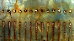 nine inch nails The Downward Spiral texture