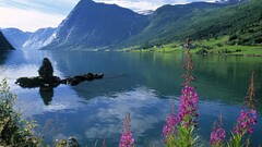 Norway summer landscape Mountains