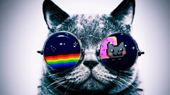 nyan cat cats glasses digital art Animals