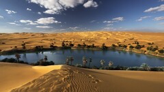 oasis oases palm trees landscape desert Sahara