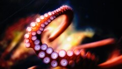 octopus tentacles underwater blurred