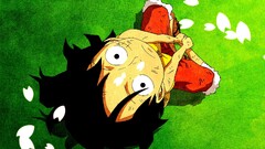 One Piece monkey d luffy Anime