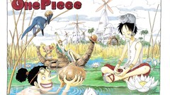 One Piece monkey d luffy nami tony tony chopper Anime