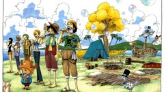 One Piece monkey d luffy tony tony chopper Usopp nami sanji