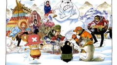 One Piece nami Nico Robin sanji Roronoa Zoro snow Usopp