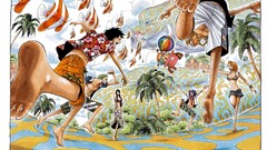 One Piece nami sanji Nico Robin Roronoa Zoro Usopp Anime