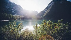 outdoors sunlight Plants water Mountains