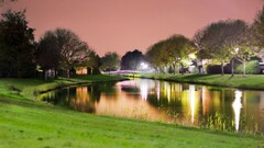 outdoors water grass