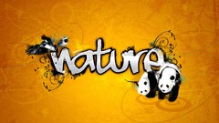 panda Birds digital art Animals Typography