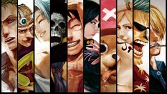 panels Roronoa Zoro nami brook monkey d luffy Nico Robin sanji