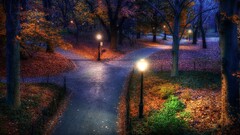 Park lantern night fall