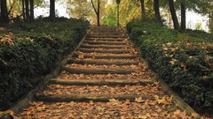 Park stairs lantern fall Trees leaves nature