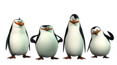 Penguins of Madagascar Movies Animated Movies Penguins Animals