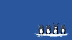 Penguins Simple Background humor artwork
