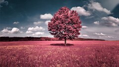 Photo manipulation Trees digital art landscape field sky clouds