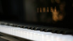 piano Music musical instrument