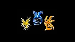Pokémon Fractalius Minimalism video games Articuno Zapdos