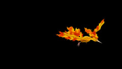 Pokémon Fractalius video games Minimalism