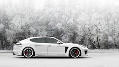 Porsche Panamera snow Car Porsche white cars