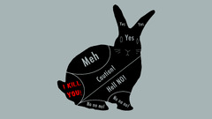 rabbits humor Simple Background simple gray background