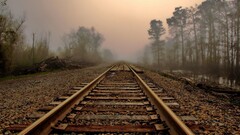 railway leaves mist Trees landscape