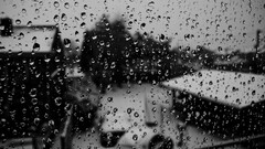 rain glass monochrome blurred water drops water on glass
