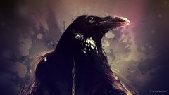 raven artwork Animals Birds