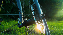 reflection sunlight grass bicycle mountain bikes