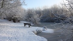 river bench Park winter