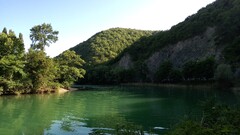 river nature landscape Trees