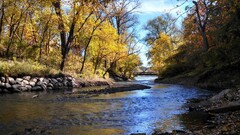 river nature landscape Trees